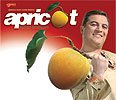 Гамлет Геворгян/Hamlet Gevorgyan - Apricot